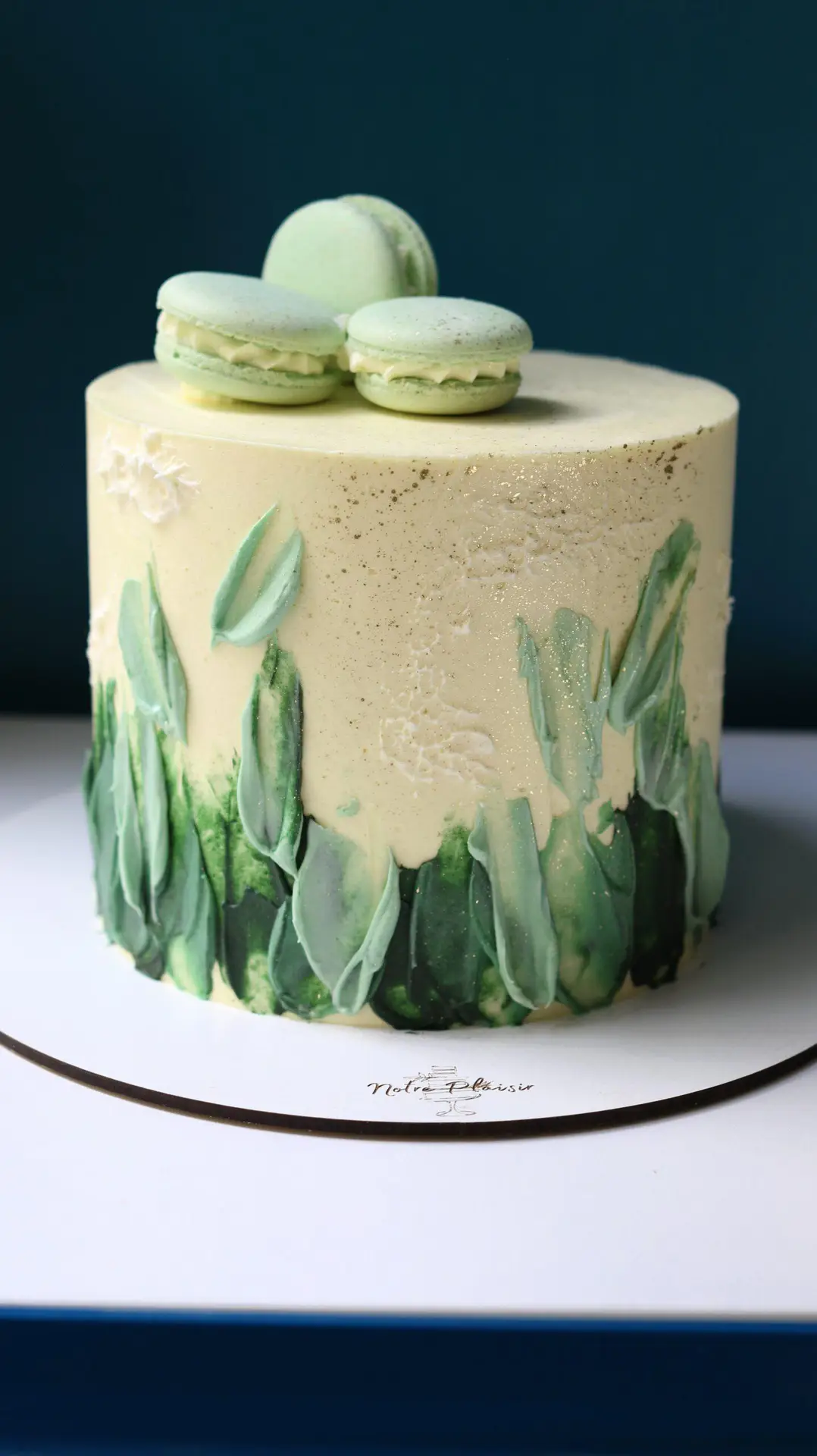 Gateau cake design NOTRE PLAISIR PARIS (16)